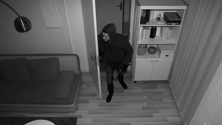Thief caught on camera (illustrative)