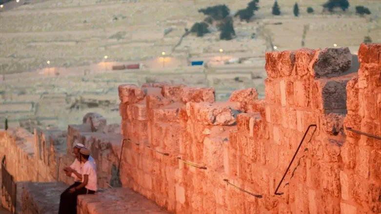 מתוך התערוכה