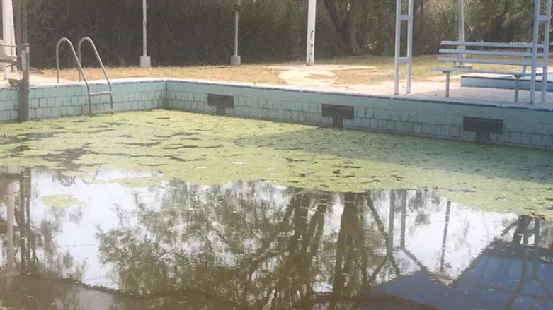 בריכת שחייה נטושה בבקעה