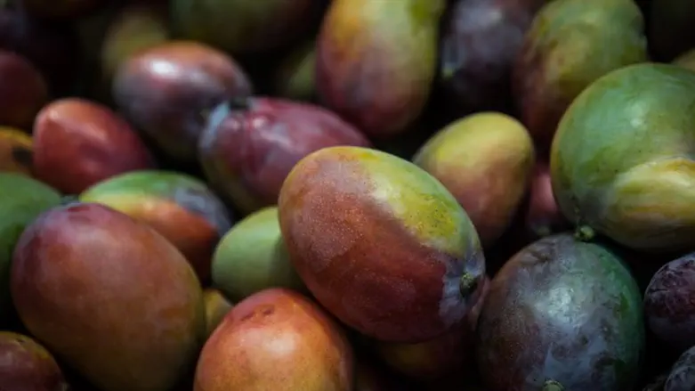 Mangoes (illustrative)