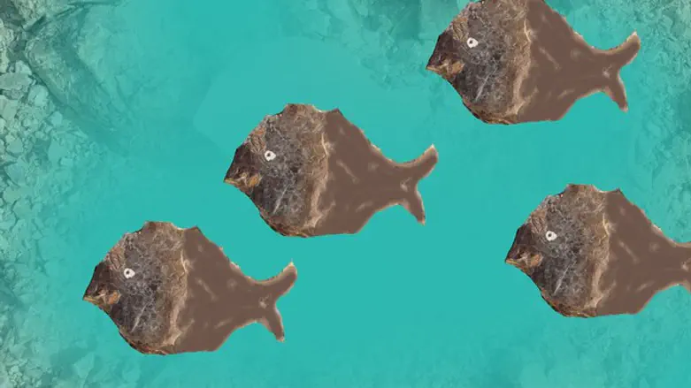 תערוכה ביני לסביבה