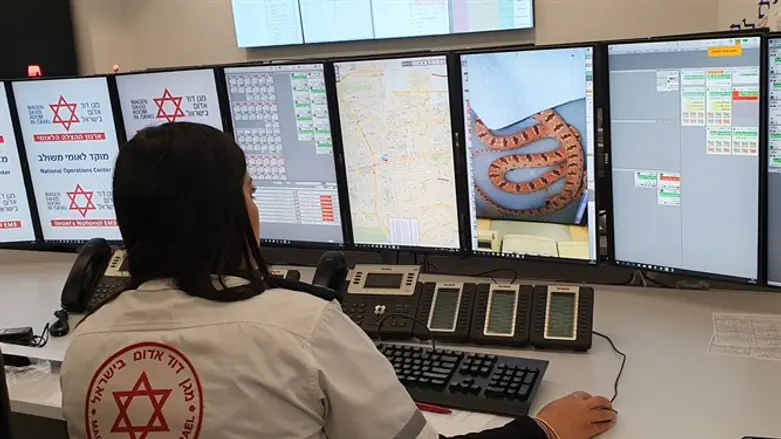 חובשת במוקד מד''א מקבלת קריאה על הכשת נחש 