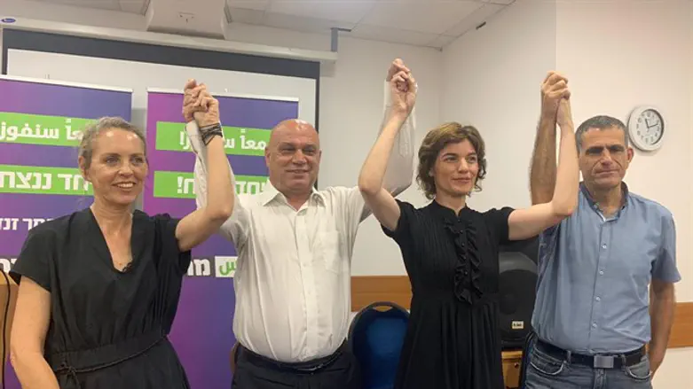 זנדברג ותומכיה