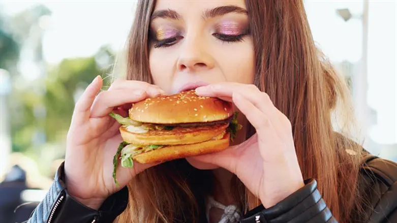 Hamburger (illustrative)