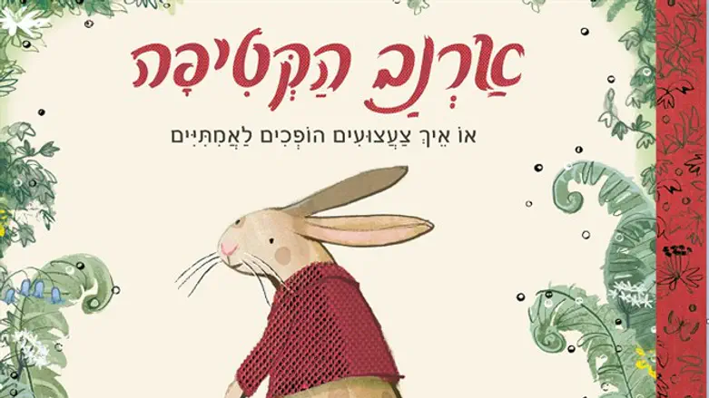 ארנב הקטיפה