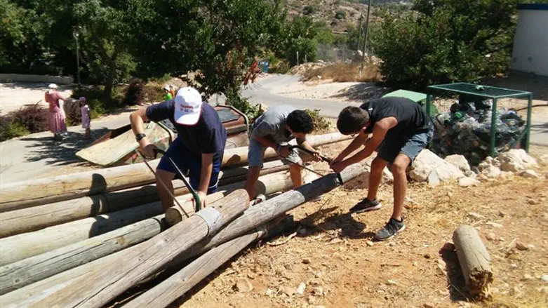 בני הנוער באפרת בעבודה
