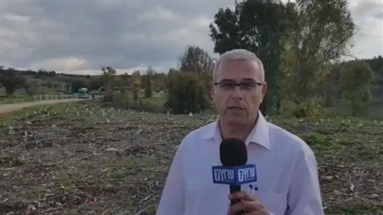 קובי פינקלר