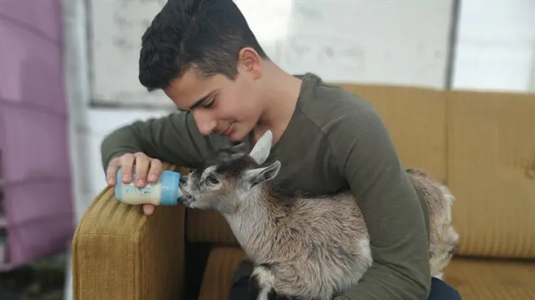 חינוך לעבודה