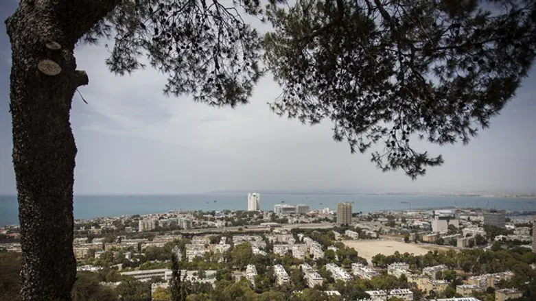 חיפה