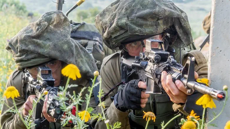 Военные учения. Иллюстрация