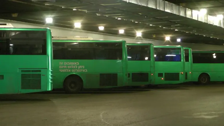 אוטובוסים. אילוסטרציה