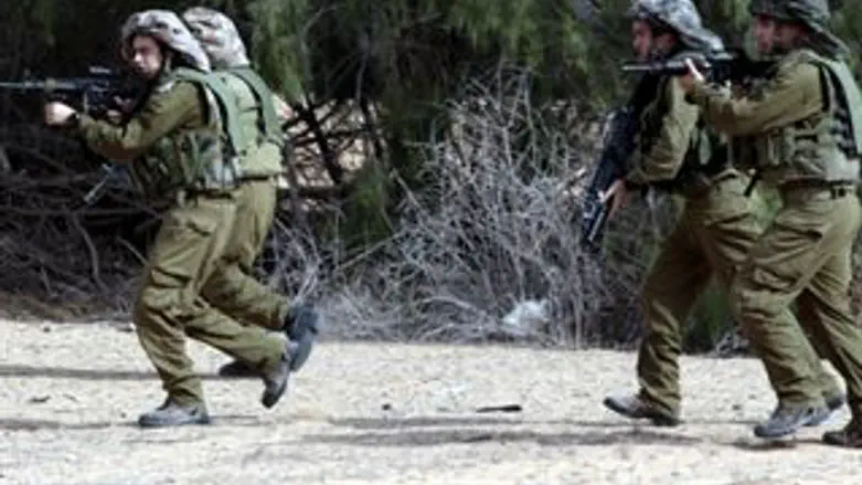 מתרגלים לחימה 