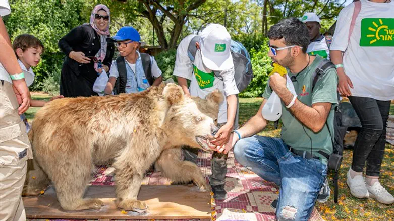אירוע גשר של אור