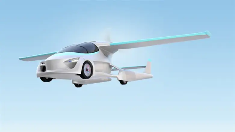 רק זהירות מהציפורים