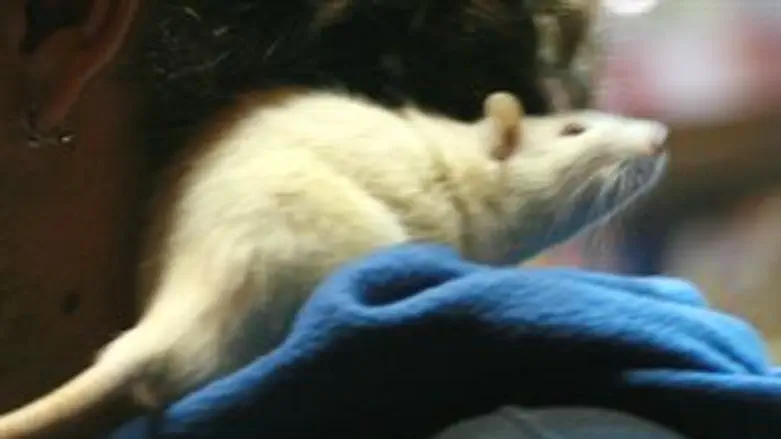 כבר לא בדיכאון...