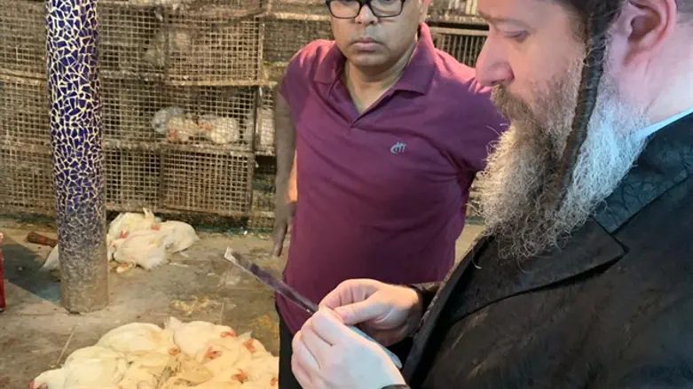 הרב בבדיקת סכינים