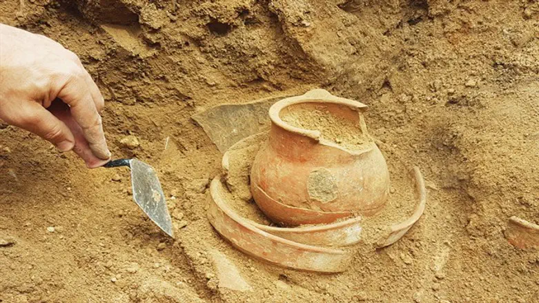 17 דונם של שרידים פלישתיים. החפירות בתל א-ראעי