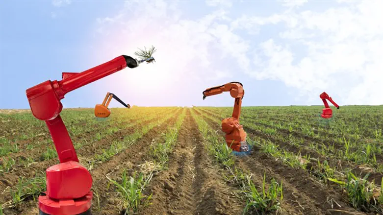 לעבודה ולמלאכה!