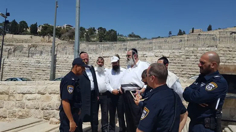 מתכוננים להילולה