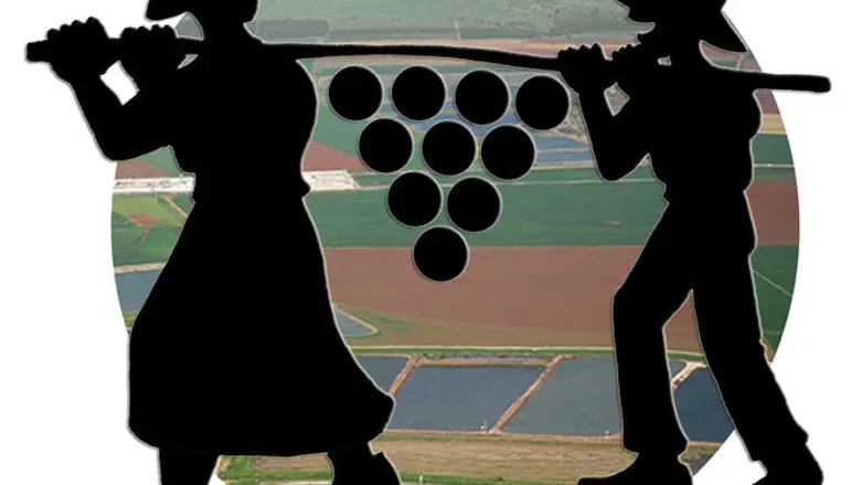 "יש יפות ממנה, אבל אין יפות כמוה"