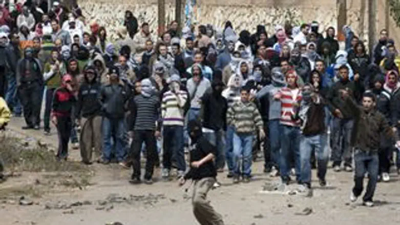 תמונות שחוזרות על עצמם. אבנים על הכוחות