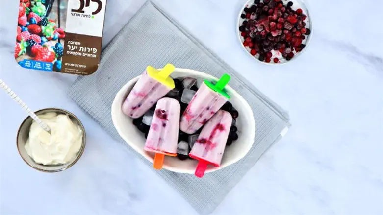 ארטיק פירות יער