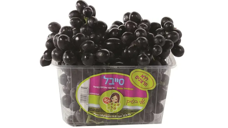  זן הענבים 'סייבל' מבית 'ענבי טלי'
