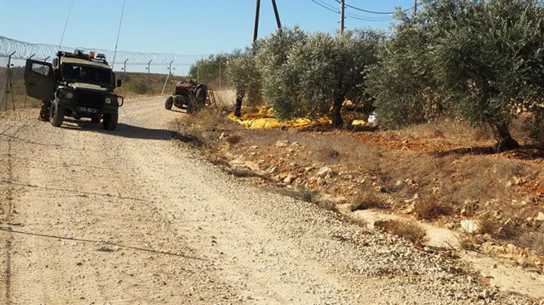 Гуш-Эцион. Иллюстрация