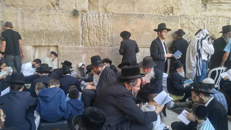 Молебны 9 Ава у Западной Стены