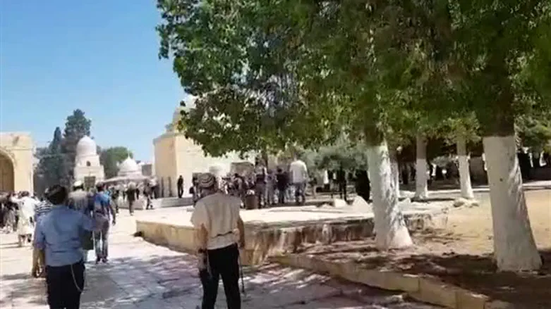 Jews visit Temple Mount