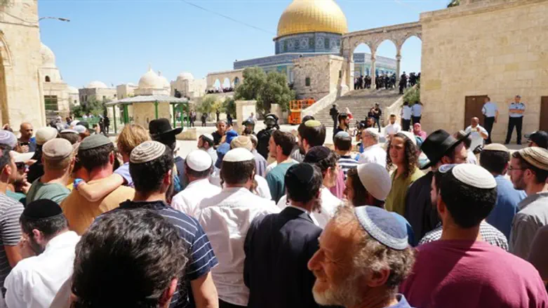 Евреи на Храмовой горе. Иллюстрация 