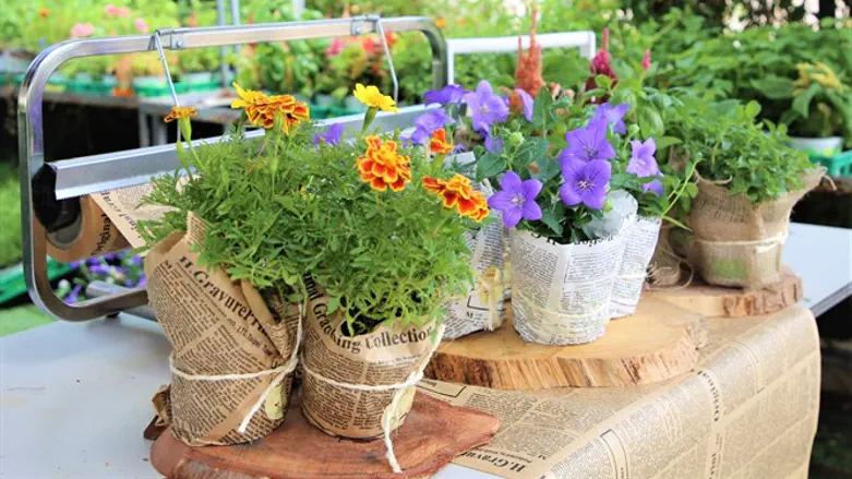 מתרגשות מכמות הזמנות העציצים 