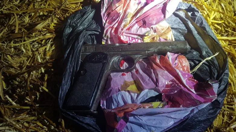 One of the confiscated weapons
