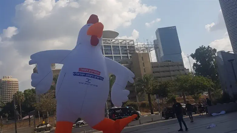 מיצג המחאה