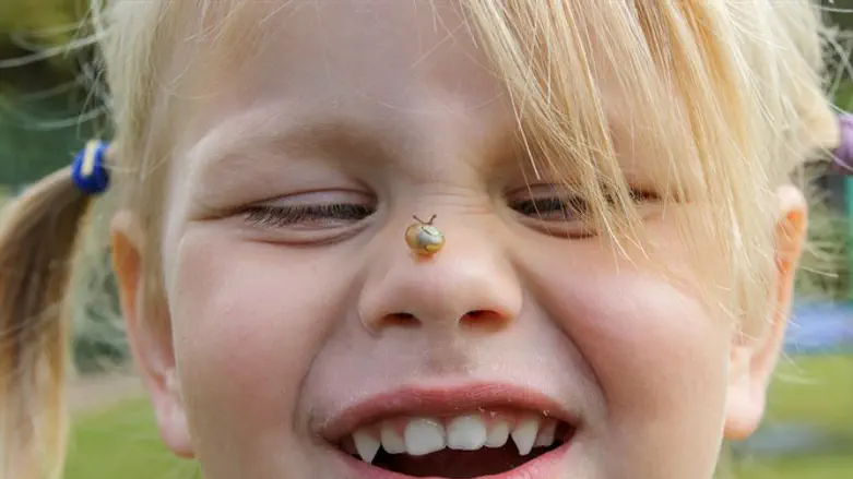 Snail on toddler's nose (illustrative)