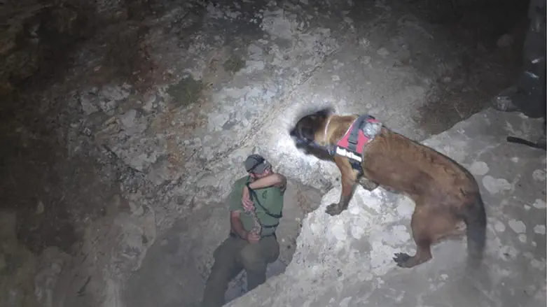 man's best friends solves agricultural crime