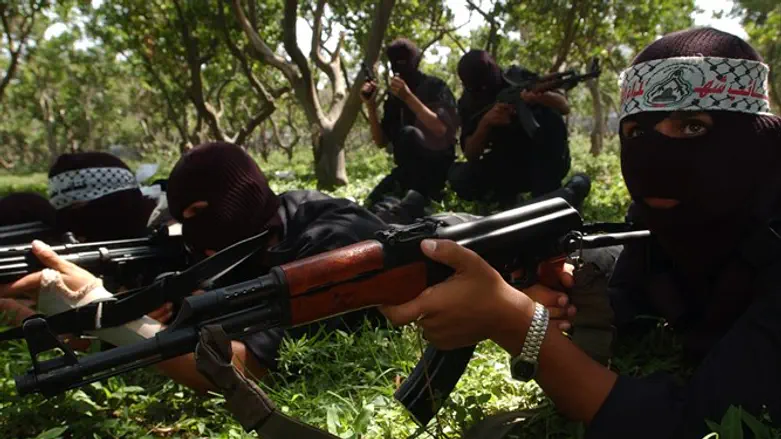 Terrorists training (illustrative)