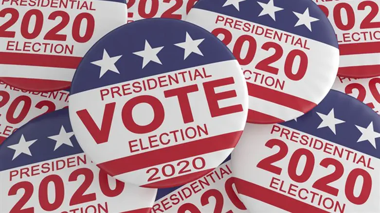 2020 US election pins