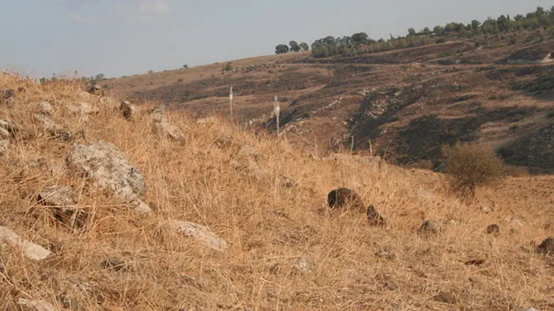חצב ברמת הגולן
