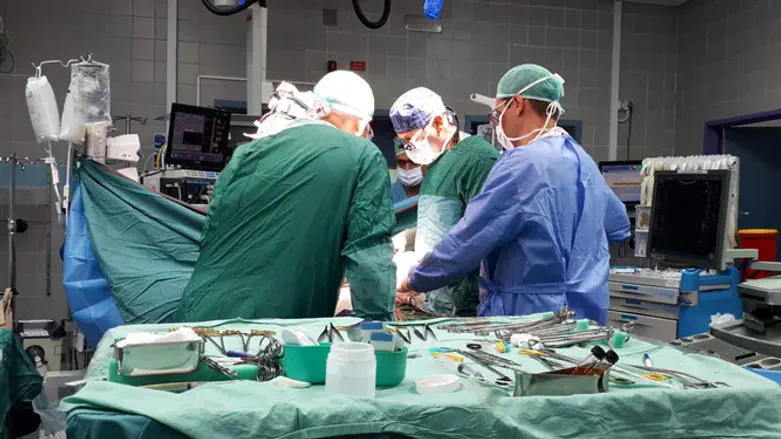 השתלה. ארכיון