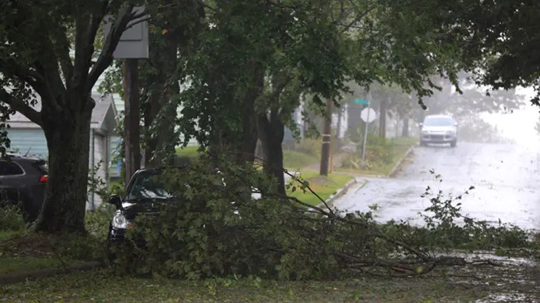 Hurricane Dorian arrives in Halifax, Nova Scotia