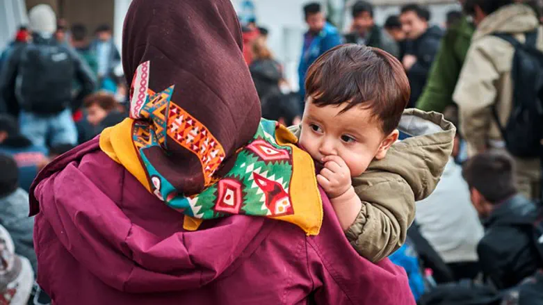 Беженцы (архив)