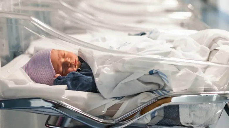 newborn (illustration)