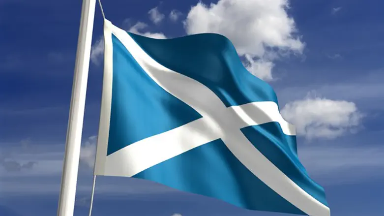 Scottish flag/flag of Scotland