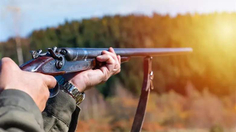 На охоте. Иллюстрация