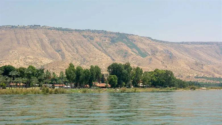 אילוסטרציה