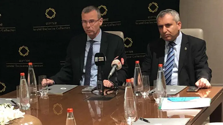 Likud ministers Ze'ev Elkin and Yariv Levin