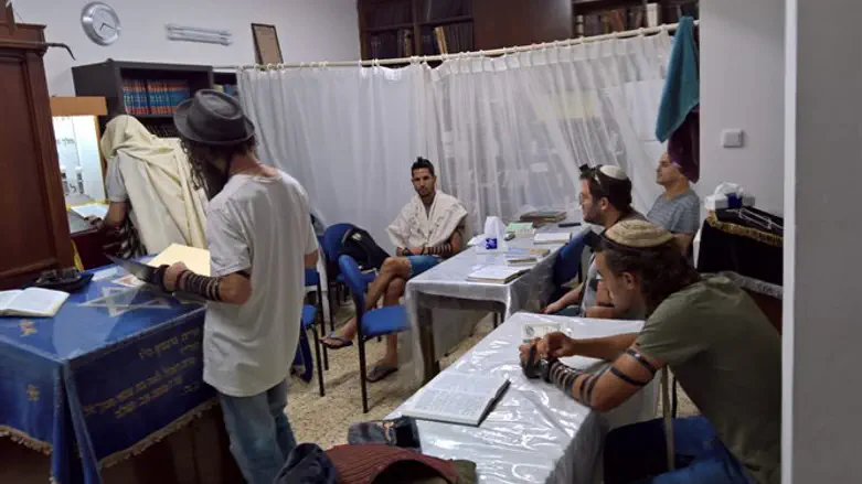 שטיבל סקרנביץ