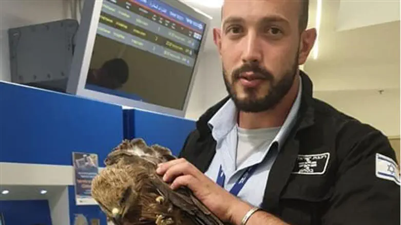 פאדל עם הדיה השחורה