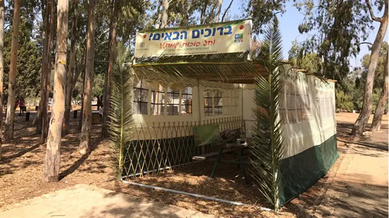 סוכת קק"ל ביער אילנות